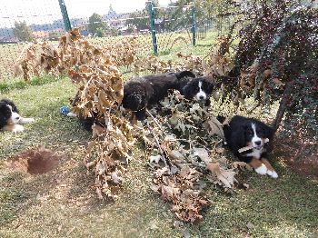 Kelly-Morgan's erster Wurf